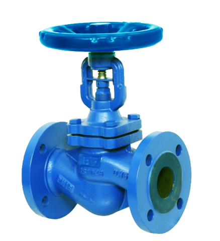 CI Globe Valve - BV218