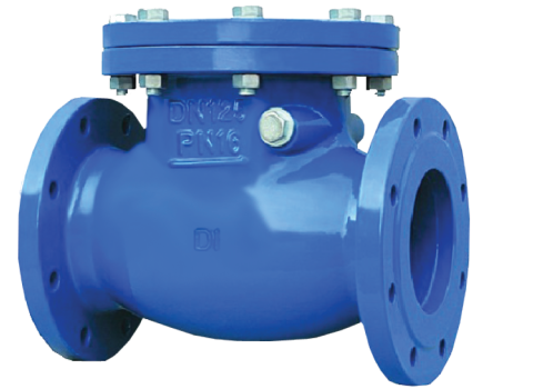 DI Swing Check Valve - BV223