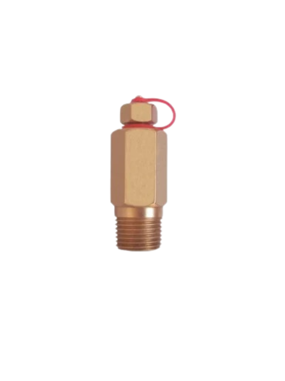Self Sealing Test Plug (WTP)