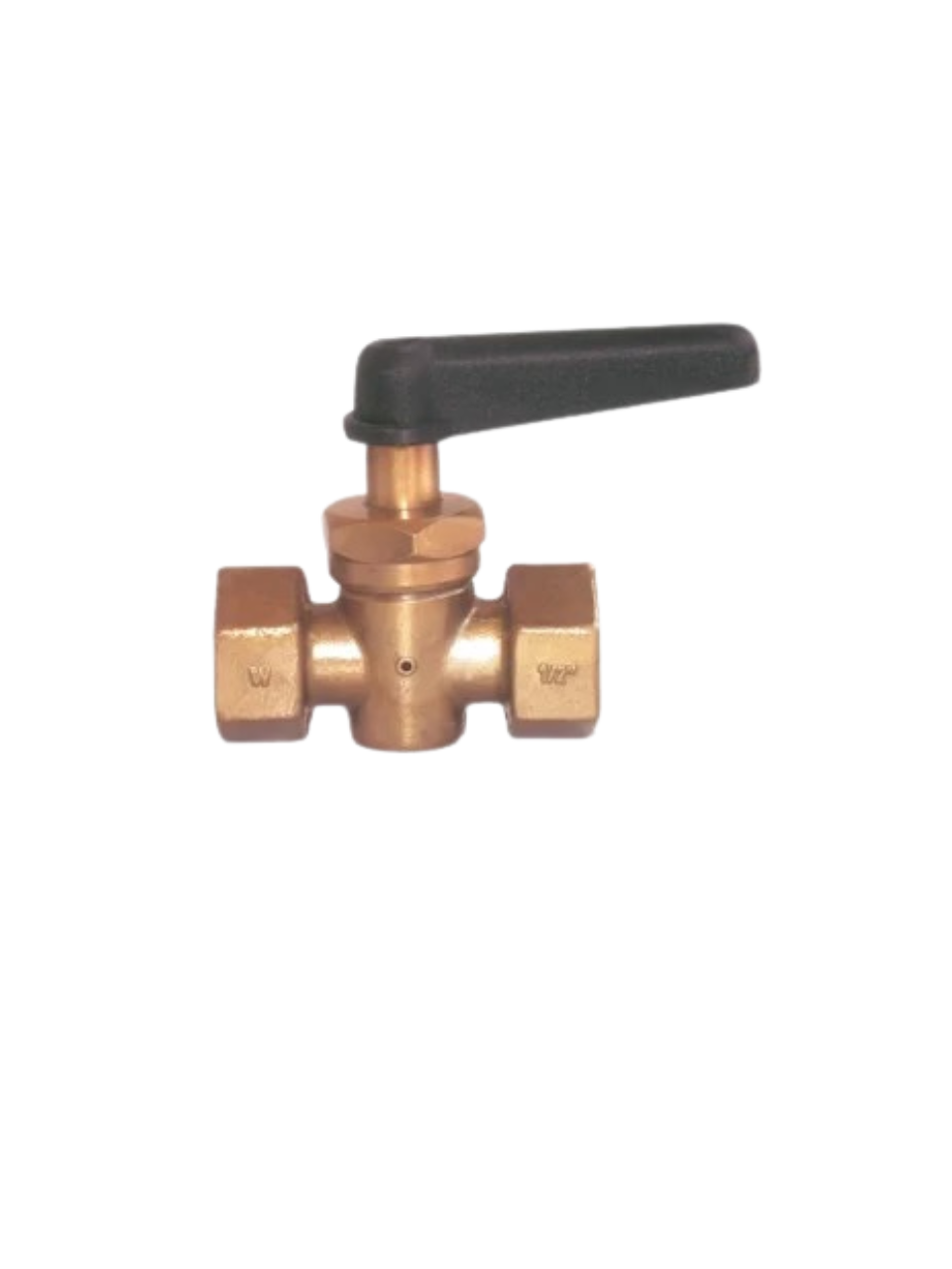 Gauge Cocks & Siphons