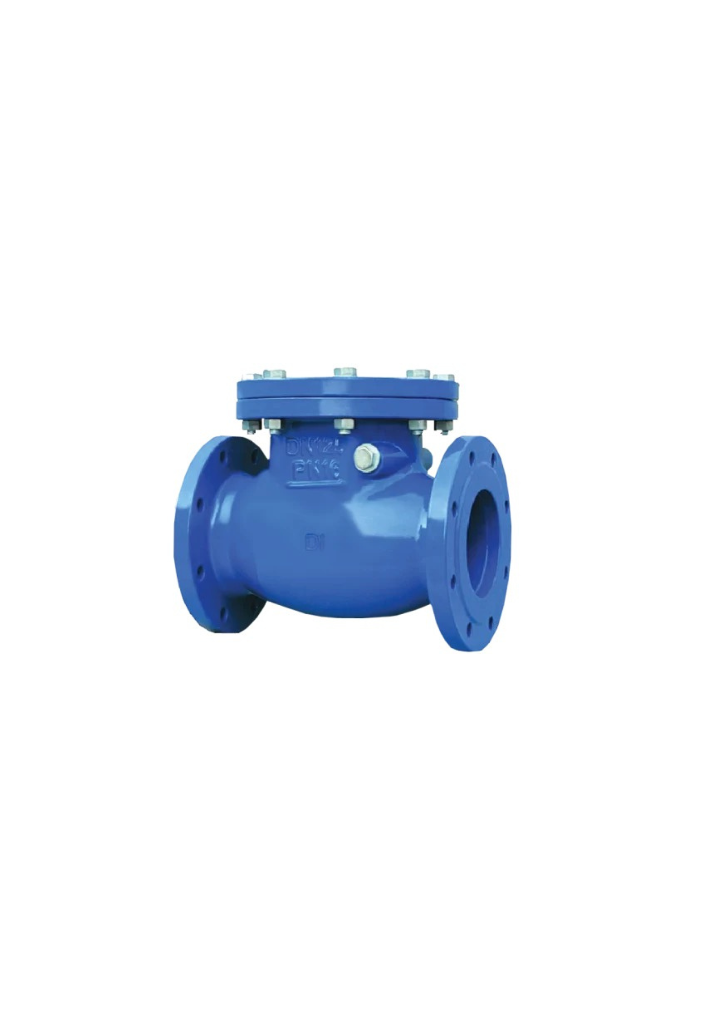 DI Swing Check Valve - BV223